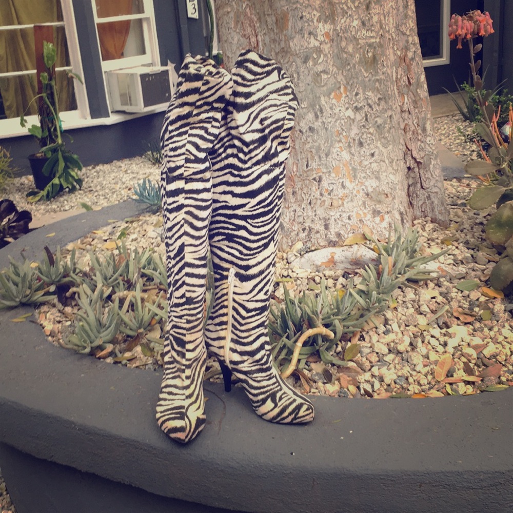 Great Zebra boots